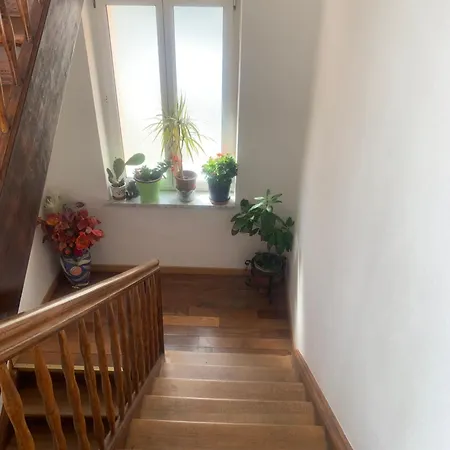 Rose Apartman