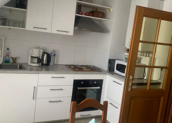 Rose コルマール