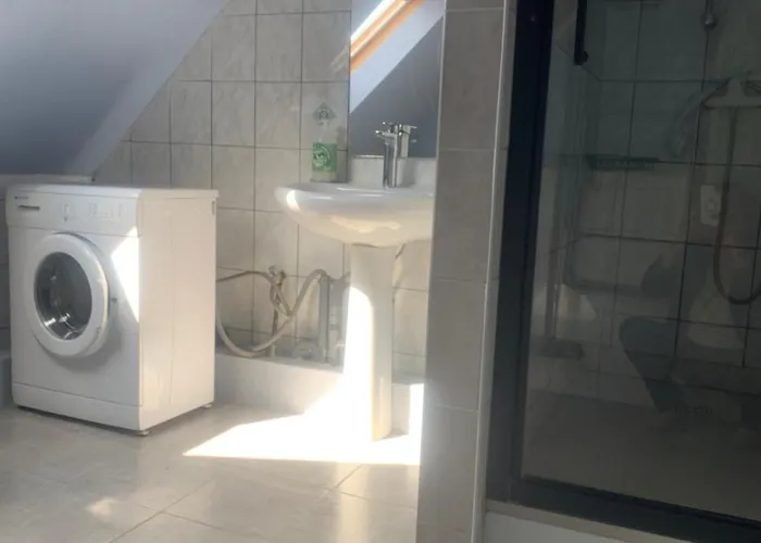 Rose コルマール