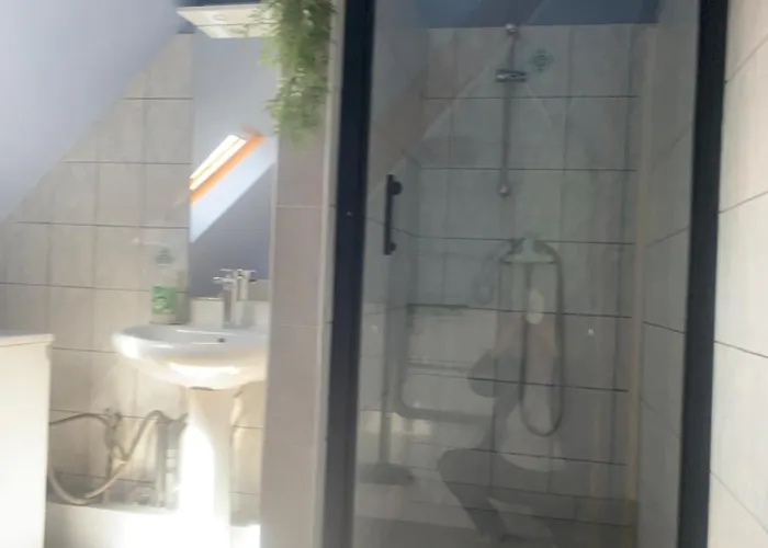 Rose * コルマール