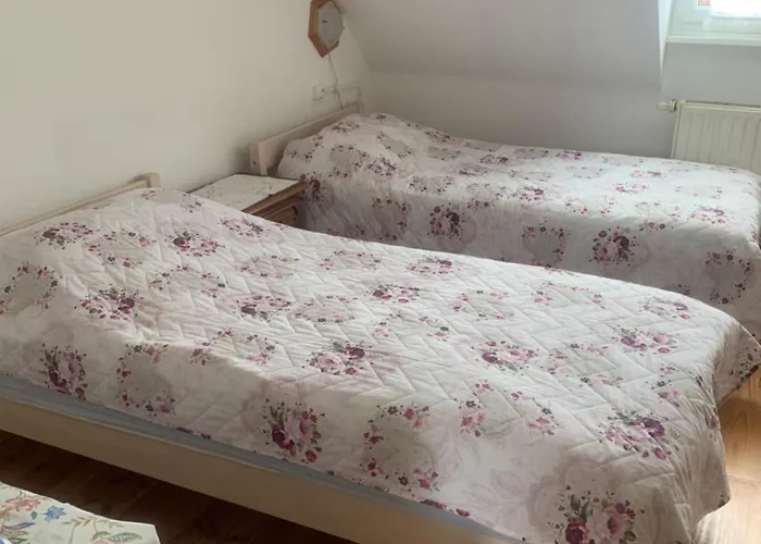 Rose コルマール